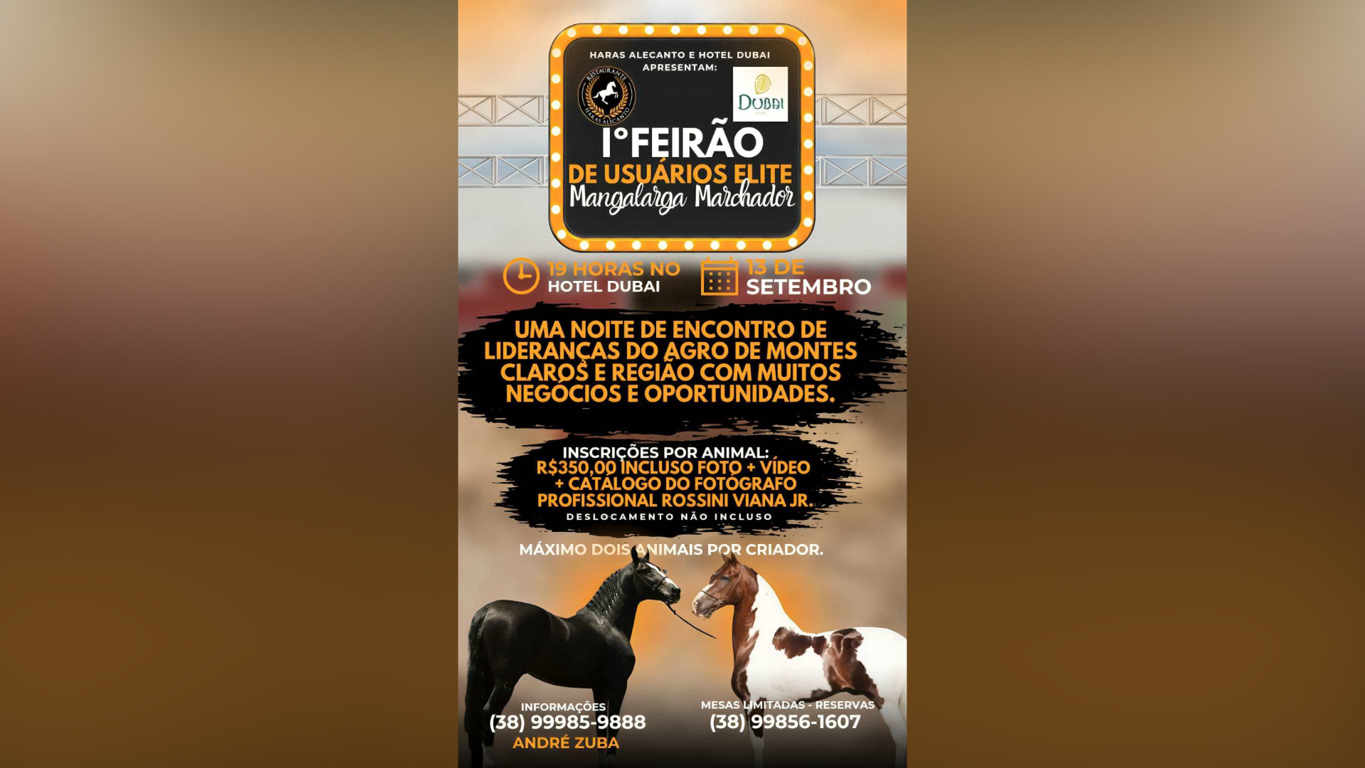 Nesta quarta (13/09) será realizado o 1° Feirão Usuários Elite Mangalarga Marchador