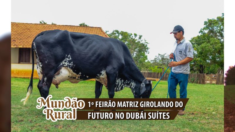 ”Mundão Rural” e informações do 1º Feirão Matriz Girolando do Futuro no Dubaí Suítes !