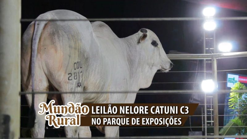 ”Mundão Rural” Leilão Nelore Catuni C3 no Parque de Exposições João Alencar Athayde