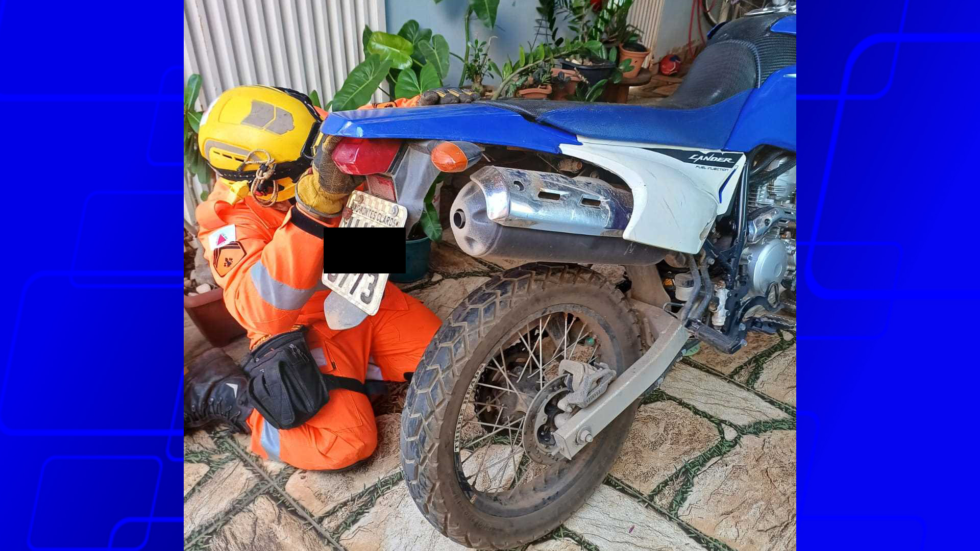 Bombeiros capturam cobra dentro de carenagem de moto