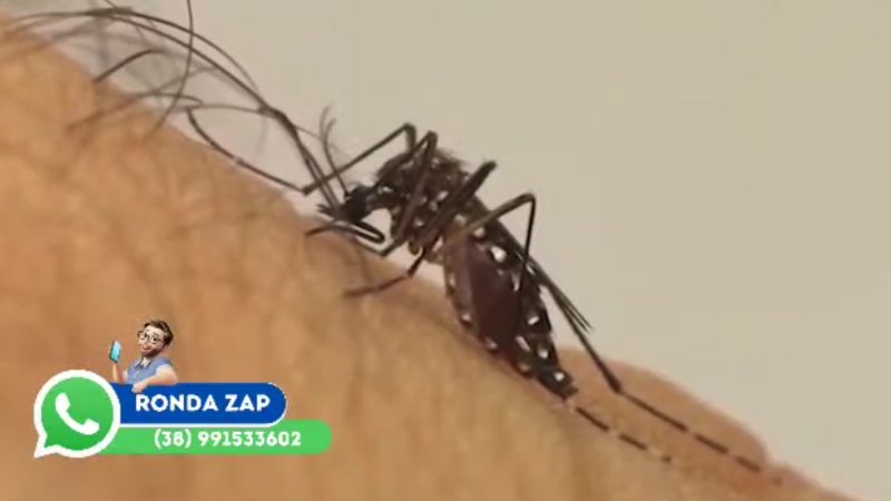 ”Ronda Geraes”: Óbito confirmado por dengue em Montes Claros !