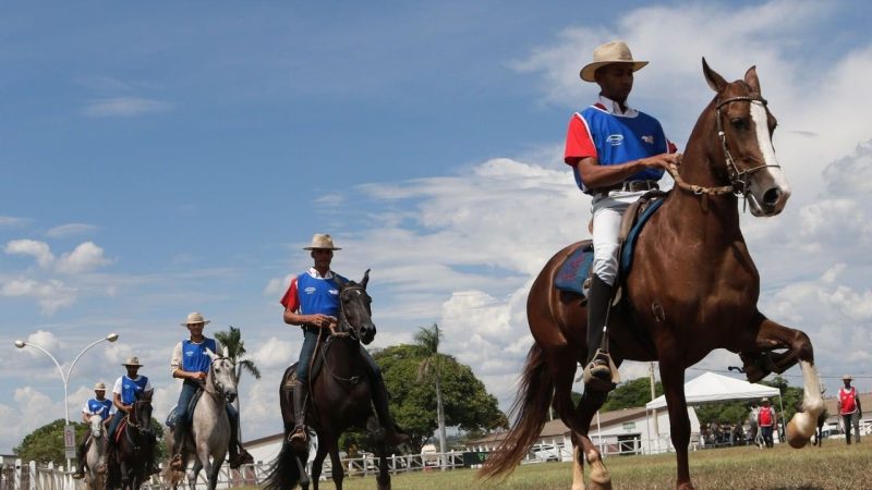 Exposição do Mangalarga Marchador movimenta a programação da Expomontes 2025