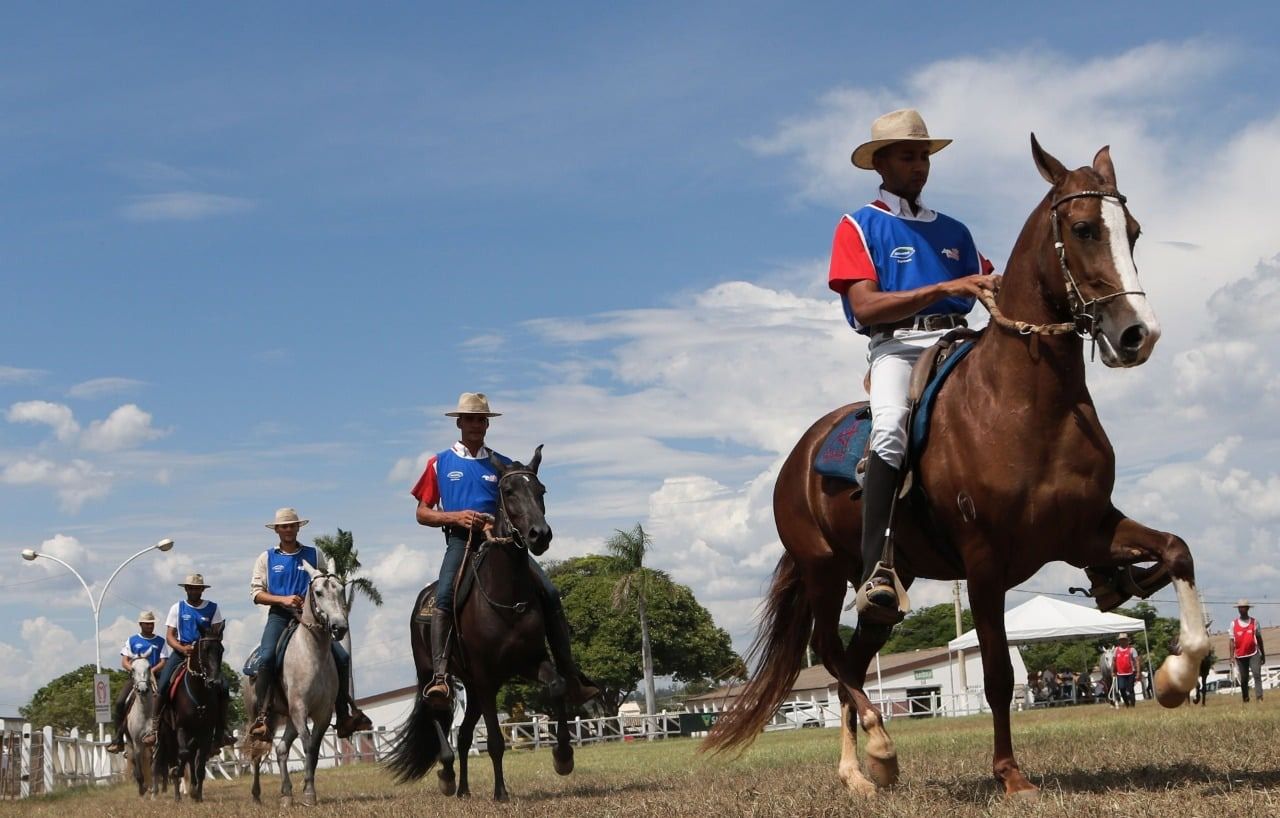 Exposição do Mangalarga Marchador movimenta a programação da Expomontes 2025