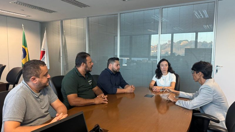 Lixões, licenciamento ambiental e controle populacional de cães e gatos é pauta de reunião entre diretoria do Codanorte e secretária estadual de meio ambiente