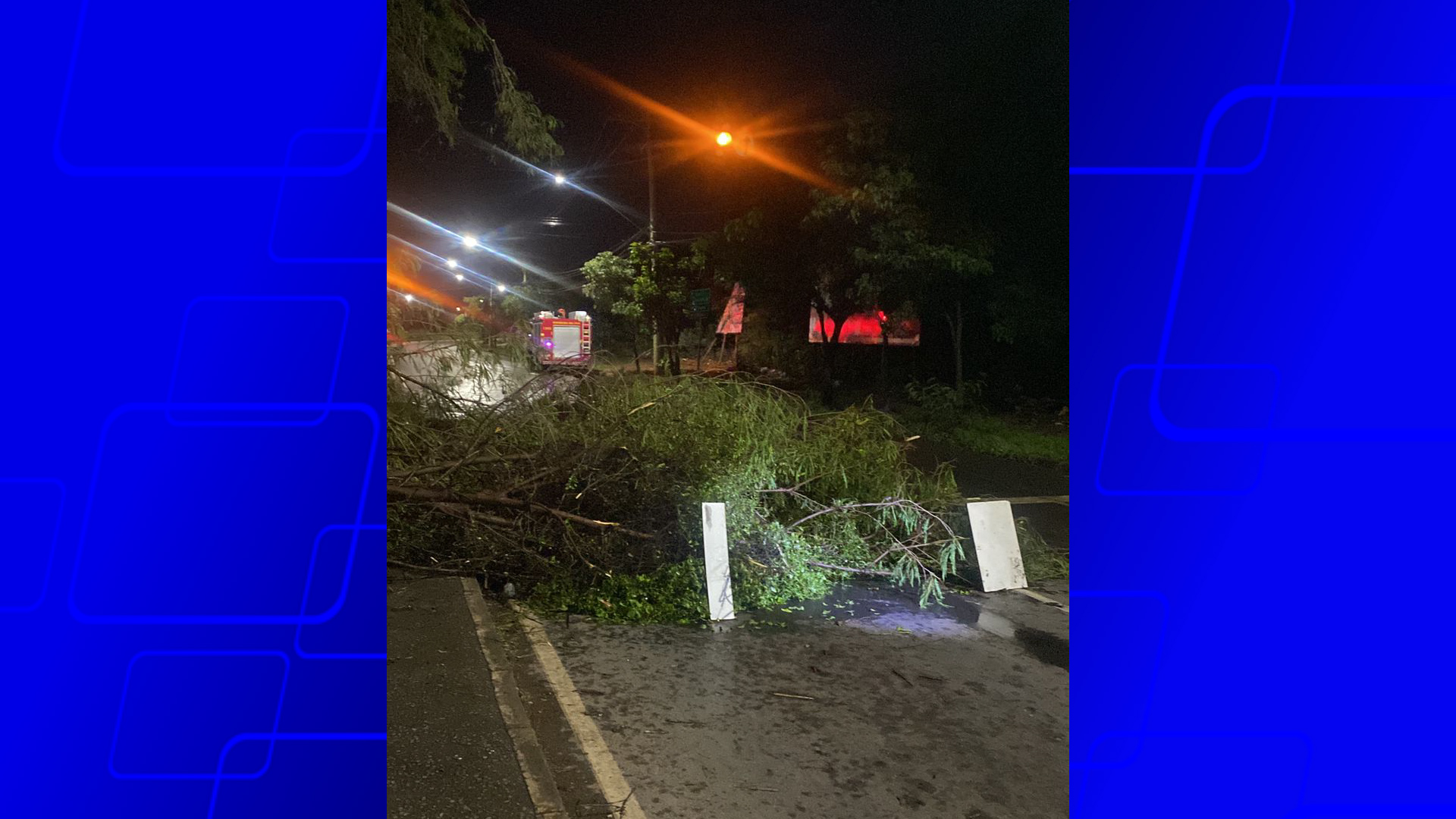 Montes Claros registra queda de árvores após fortes chuvas; Bombeiros atendem 25 ocorrências