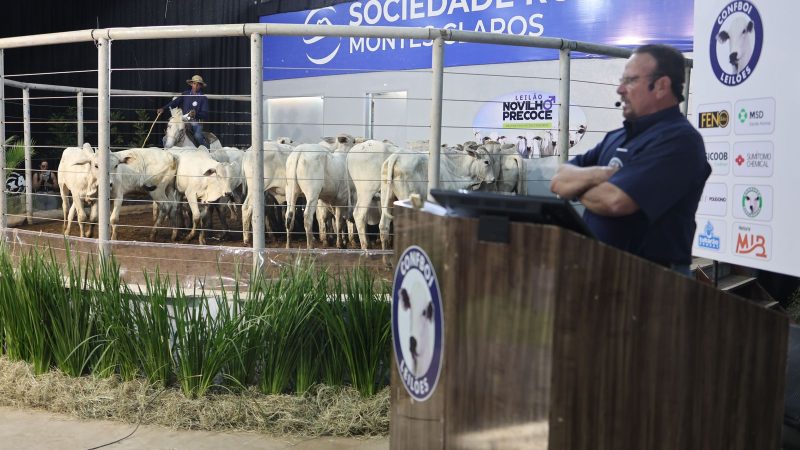 “Mundão Rural”: Leilão Premium marca o encerramento do Calendário Agropecuário do ano em Montes Claros