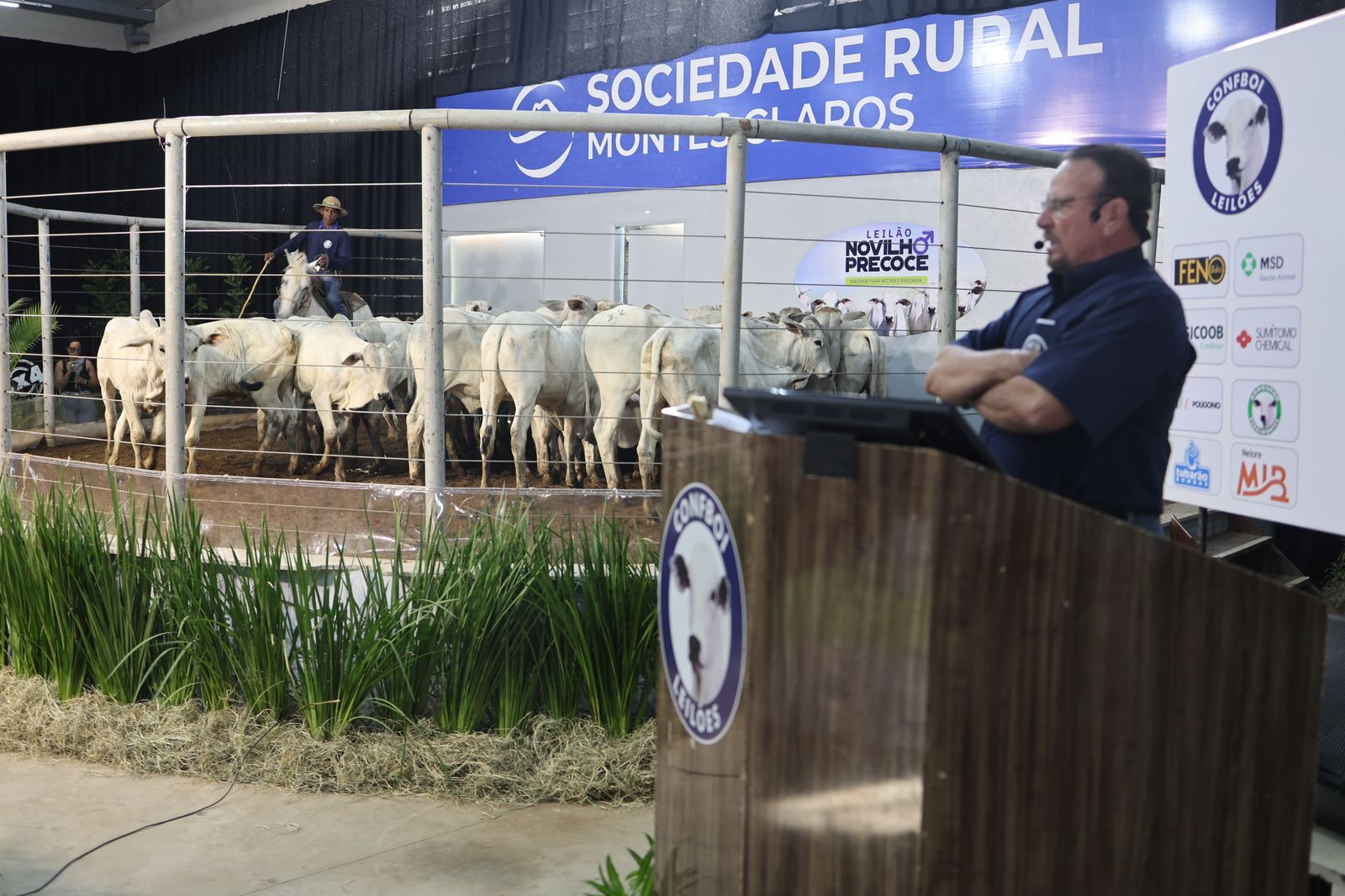 “Mundão Rural”: Leilão Premium marca o encerramento do Calendário Agropecuário do ano em Montes Claros