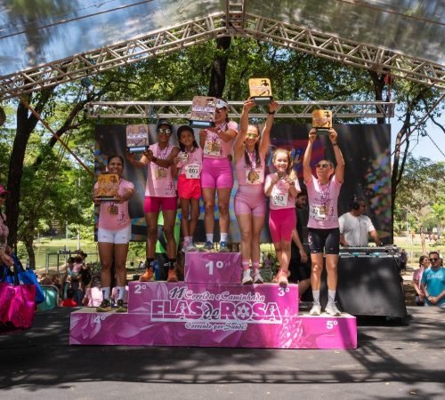 ELAS DE ROSA 01