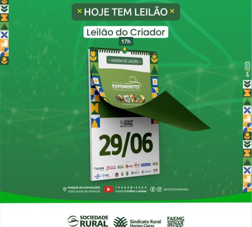 Leilão 01